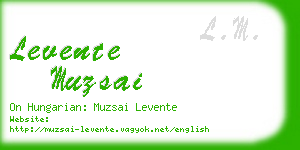 levente muzsai business card